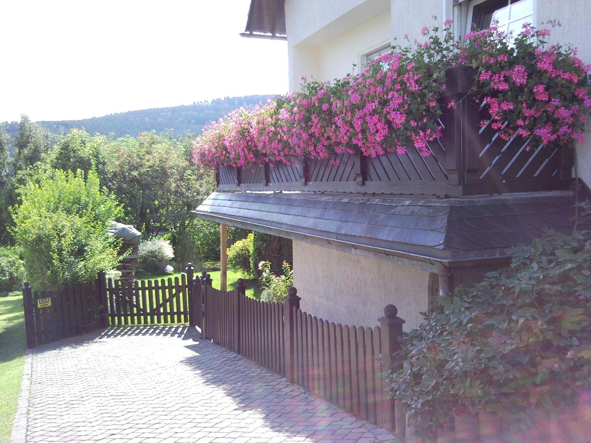 Ferienwohnungen Luge - Winterberg Kamer foto
