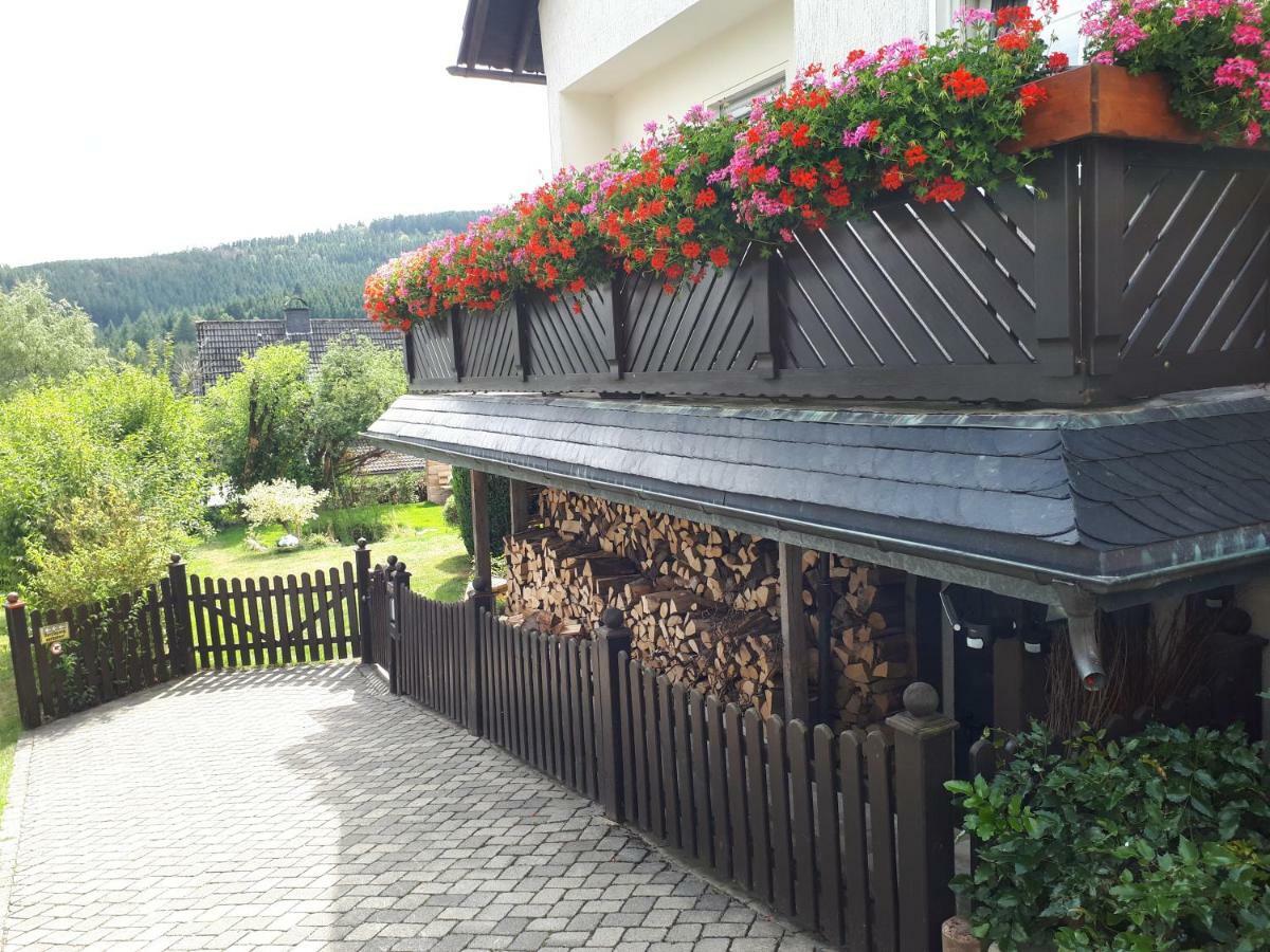 Ferienwohnungen Luge - Winterberg Buitenkant foto