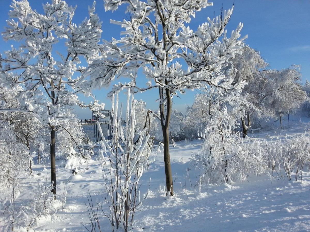Ferienwohnungen Luge - Winterberg Kamer foto